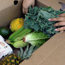 ߣsirƵ Maui College culinary ߣsirƵ distribute 1,600 produce boxes, more